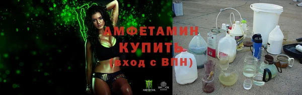 mdpv Инсар