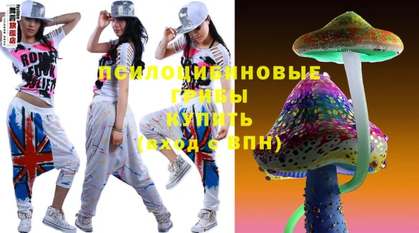 mdpv Инсар