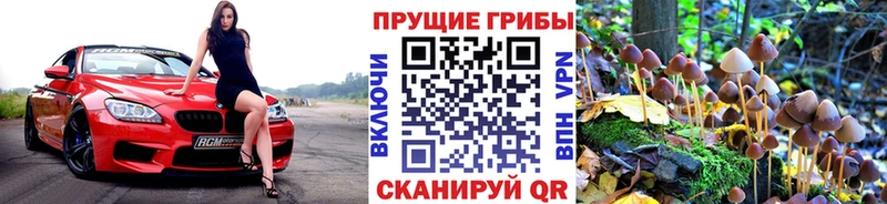 Галлюциногенные грибы Psilocybine cubensis  Купить  Сарапул 